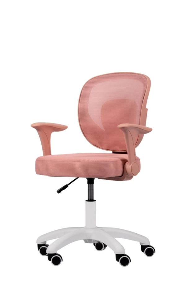 Arya Çocuk Çalışma Sandalyesi - 4