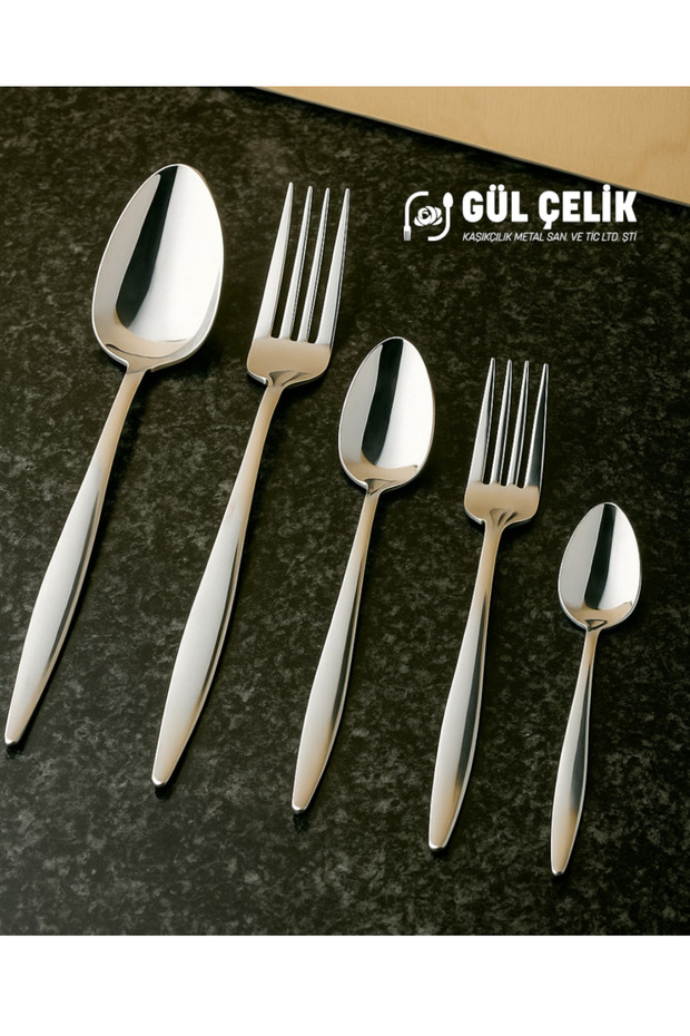 Fork Spoon Set 60 Pieces 12 Person Pointed Model 18/0 Quality - 1