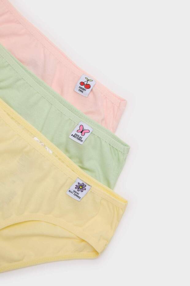 Kız Çocuk 3lü Slip Külot E1893A825SP - 4
