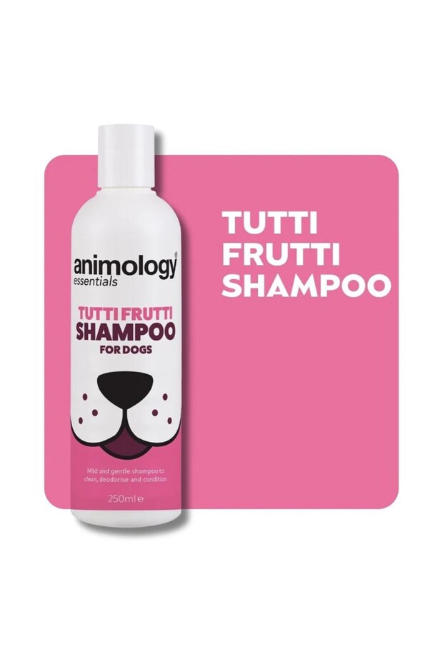 Essentials Dapper Dog Koku Giderici Köpek Şampuanı 250ml - 3