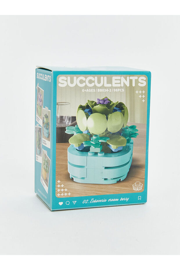 Sparkling Choices from Shining Store |   Succulent Flower Model Making Set - 4
