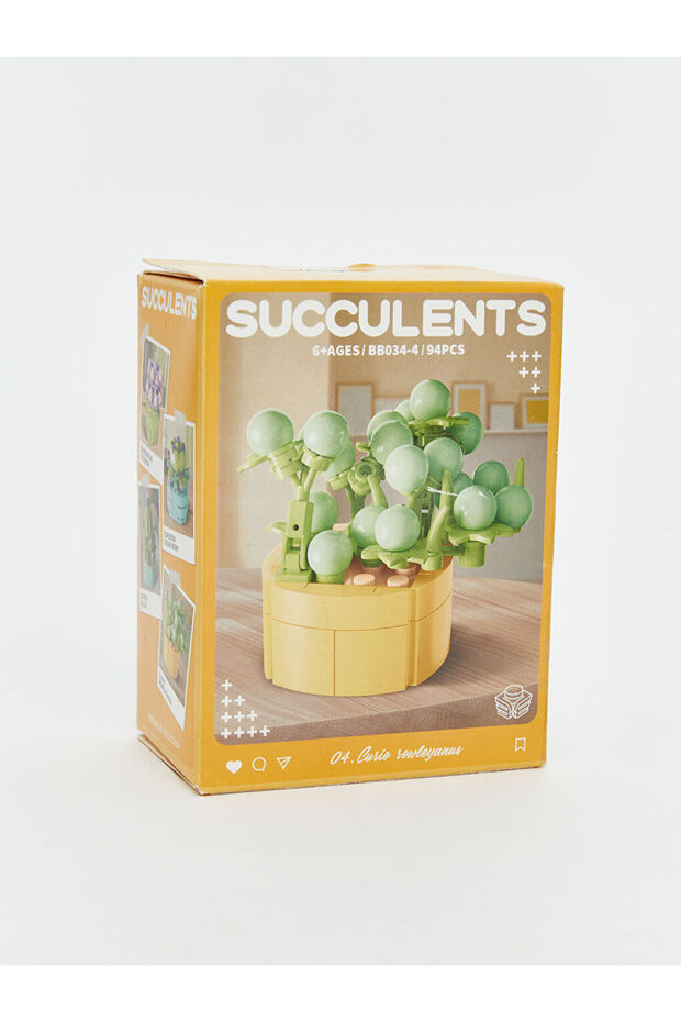 Sparkling Choices from Shining Store |   Succulent Flower Model Making Set - 5