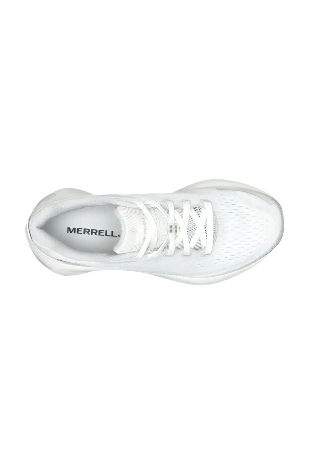 Morphlite J068134 - 4