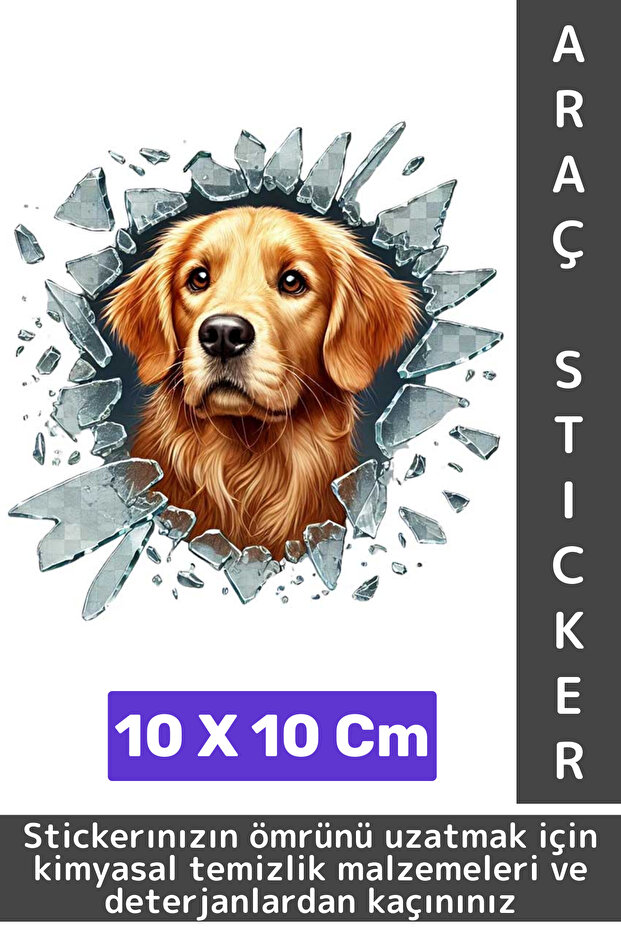 Special Design Car Exterior Modified Fun Creative Stylish 3D Pet Cat Dog Sticker 10 X 10 cm