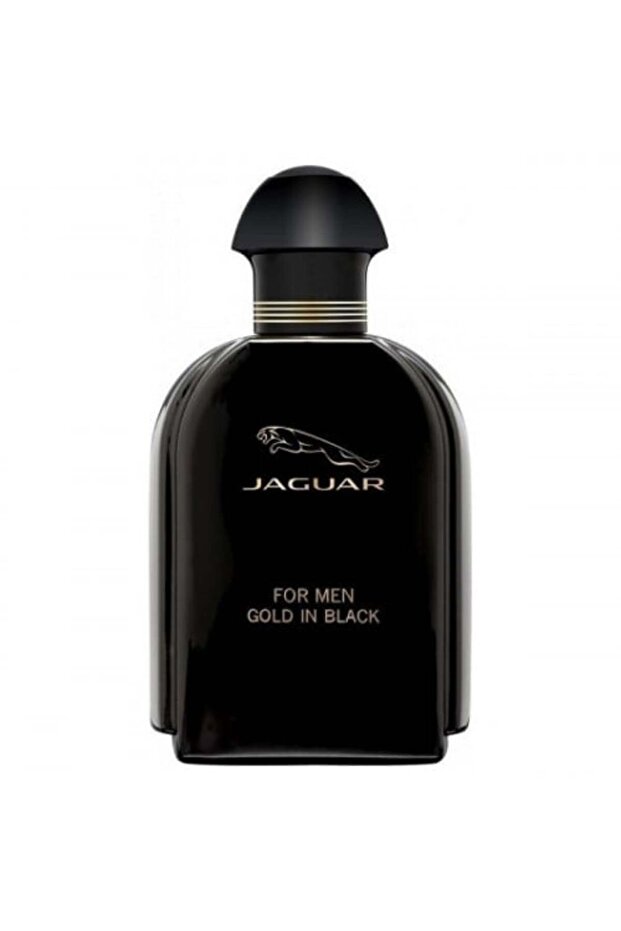 Gold In Black For Men Eau de Toilette 100ml
