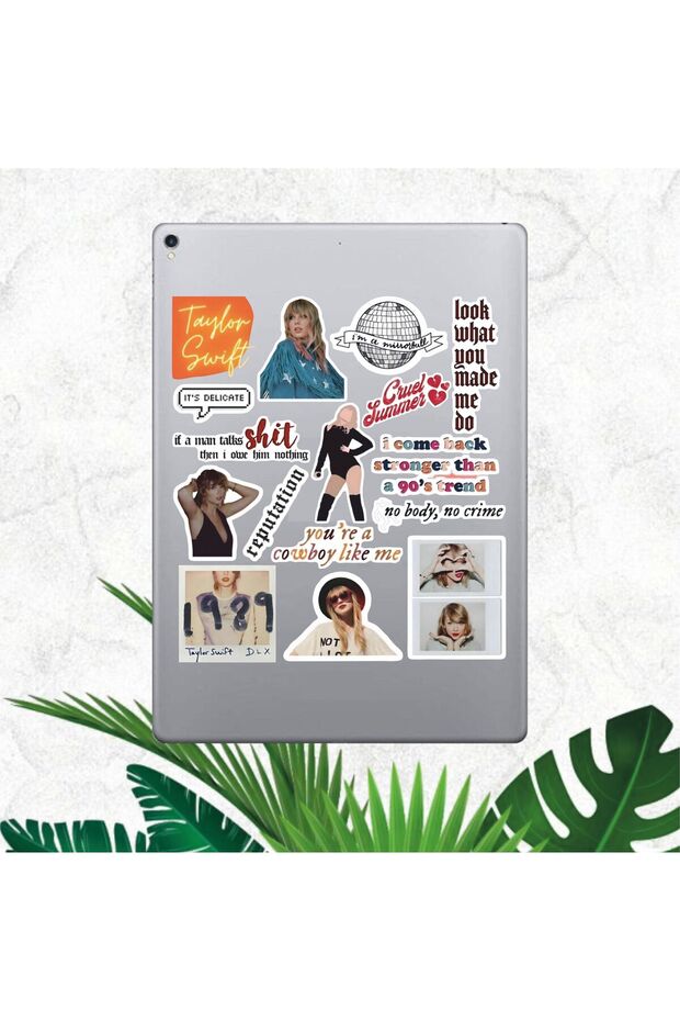 Taylor Swift Series 1 Sticker Set | Laptop Agenda Notebook Tablet Phone Notebook Sticker Journal