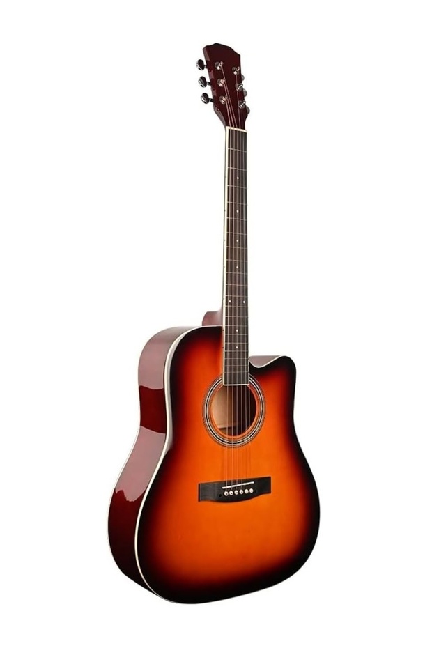 Acoustic Guitar TAS Glossy Finish