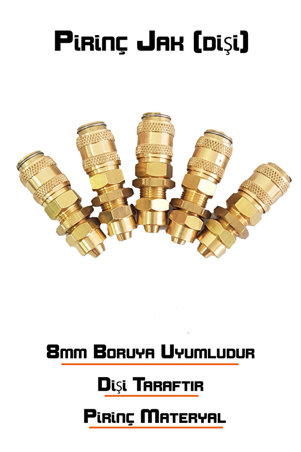 Pirinç Jak (Dişi) - 1