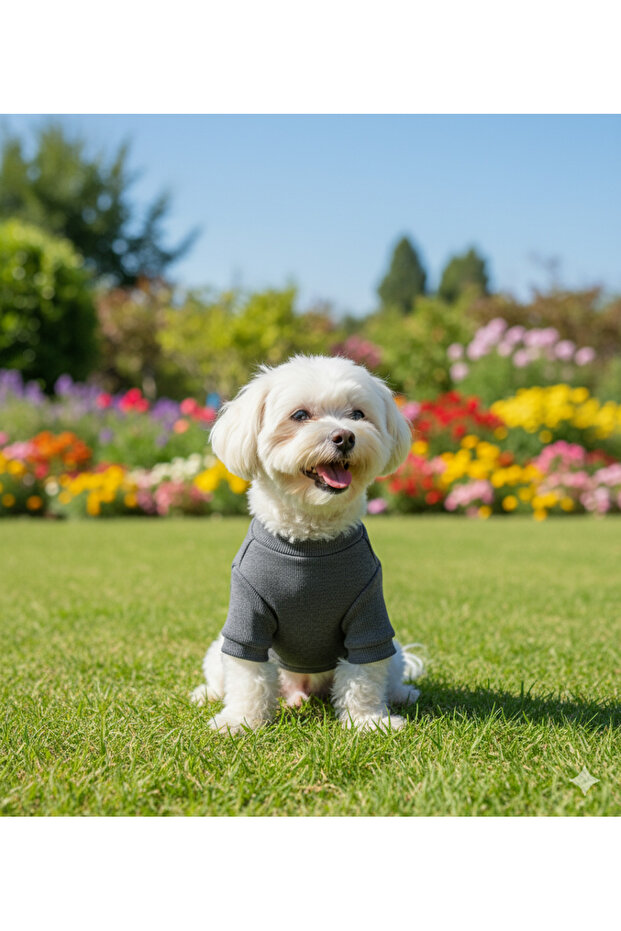ملابس أساسية للكلاب مصنوعة يدويًا (للفئات الصغيرة والمتوسطة) - 1