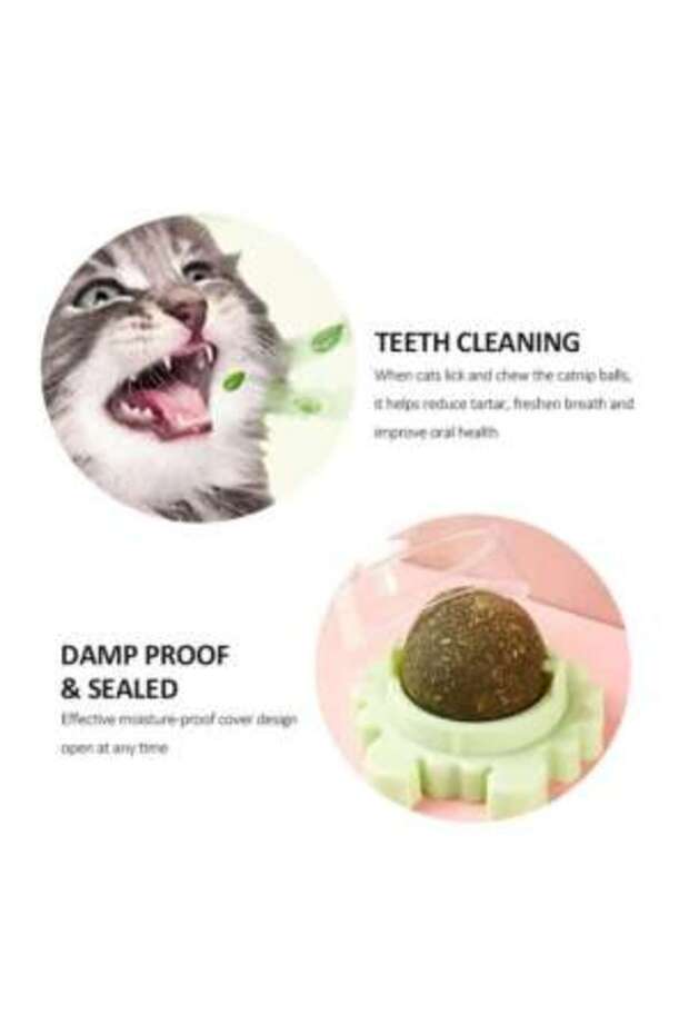 Interactive Toy for Cats with 360° Rotating Ball Made of Catnip Grass, 5.5 cm, Green - 2