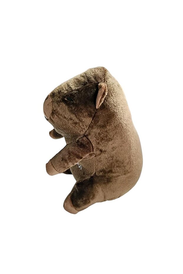 كابيبارا جالسة - 2