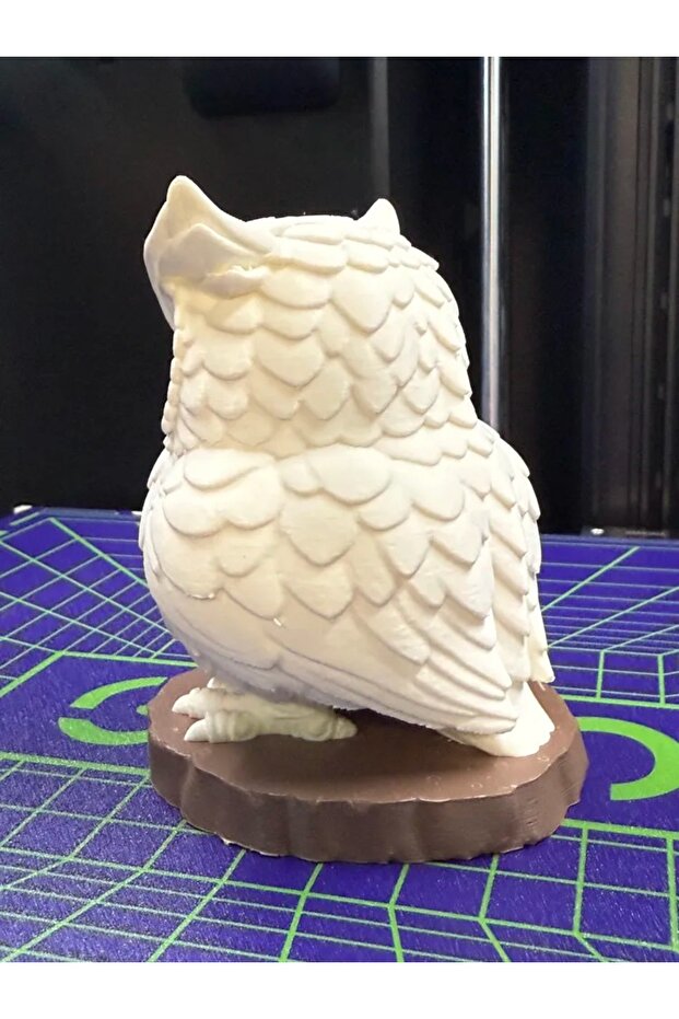 Harry potter Baykuş - 2