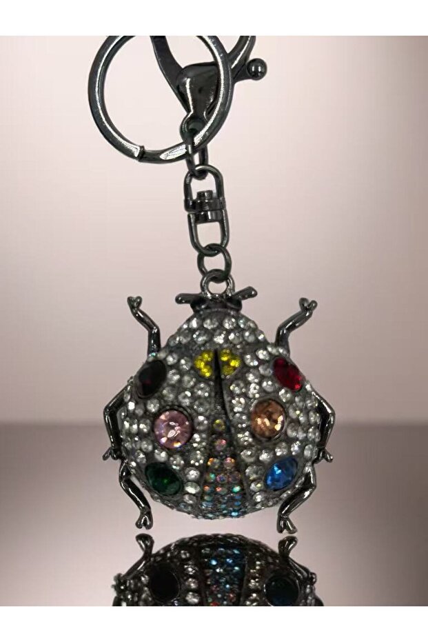 Gray Stone Sparkling Ladybug Keychain - 2