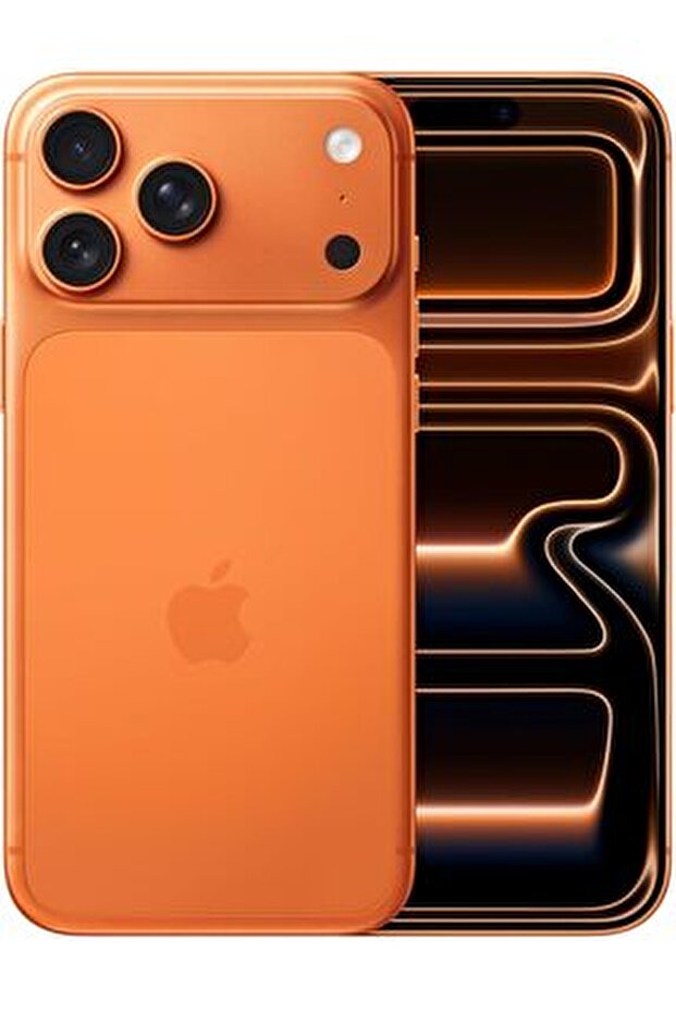 DSBoutiques_city_survival_mobile_phones_gaming_consoles