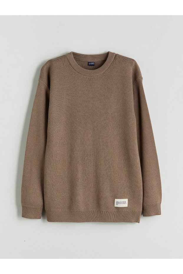 Lcw Kids Brown Crew Neck Boys' Sweater