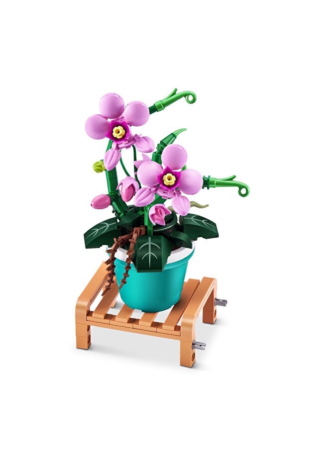 Saksı Bitkileri Sürprizi - 7