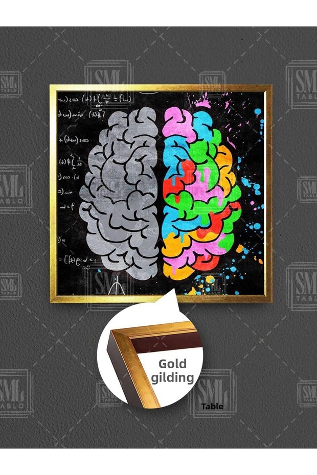 Brain Right and Left Sides Emotion and Logic Mathematics and Imagination Framed Square Canvas Painting - 1