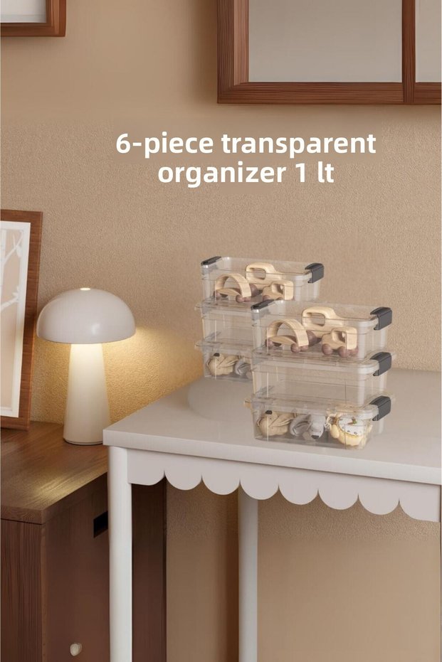 6-Piece Transparent Storage Box & Organizing Box 1 Lt