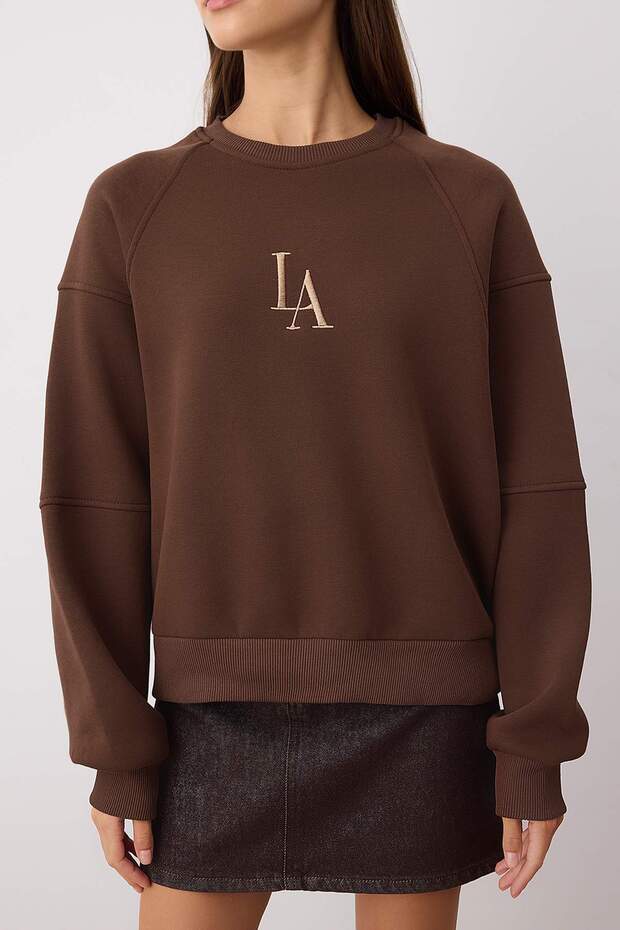 Kahverengi Bisiklet Yaka Regular Fit Nakışlı Kalın İçi Polarlı Örme Sweatshirt TWOAW24SW00199 - 3