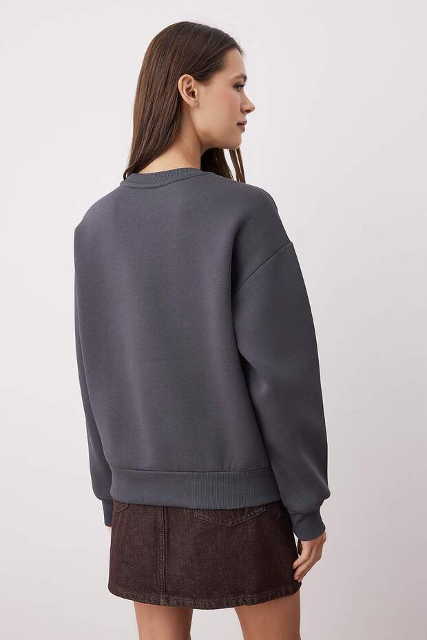 Antrasit Animal Nakışlı Regular/Normal Kalıp Kalın İçi Polarlı Örme Sweatshirt TWOAW24SW00196 - 4