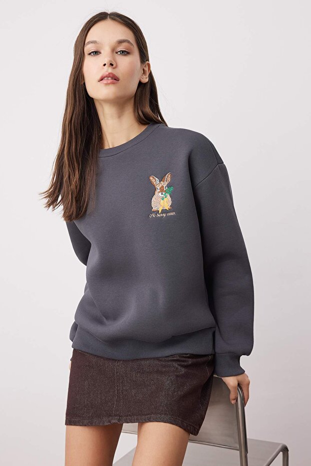 Antrasit Animal Nakışlı Regular/Normal Kalıp Kalın İçi Polarlı Örme Sweatshirt TWOAW24SW00196 - 2