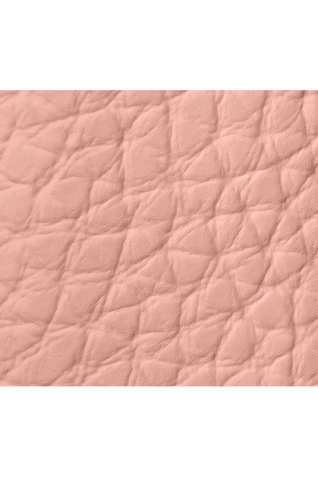 Rouge G 24 Lips Case Le Nude