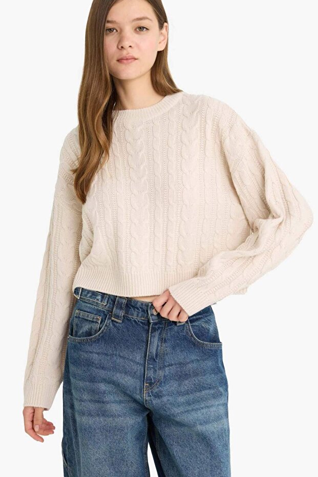 Coool Regular Fit Bisiklet Yaka Triko Kazak T4518AZ25WN - 1