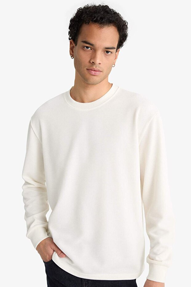 Regular Fit Crew Neck Long Sleeve Body F2263Ax25Au
