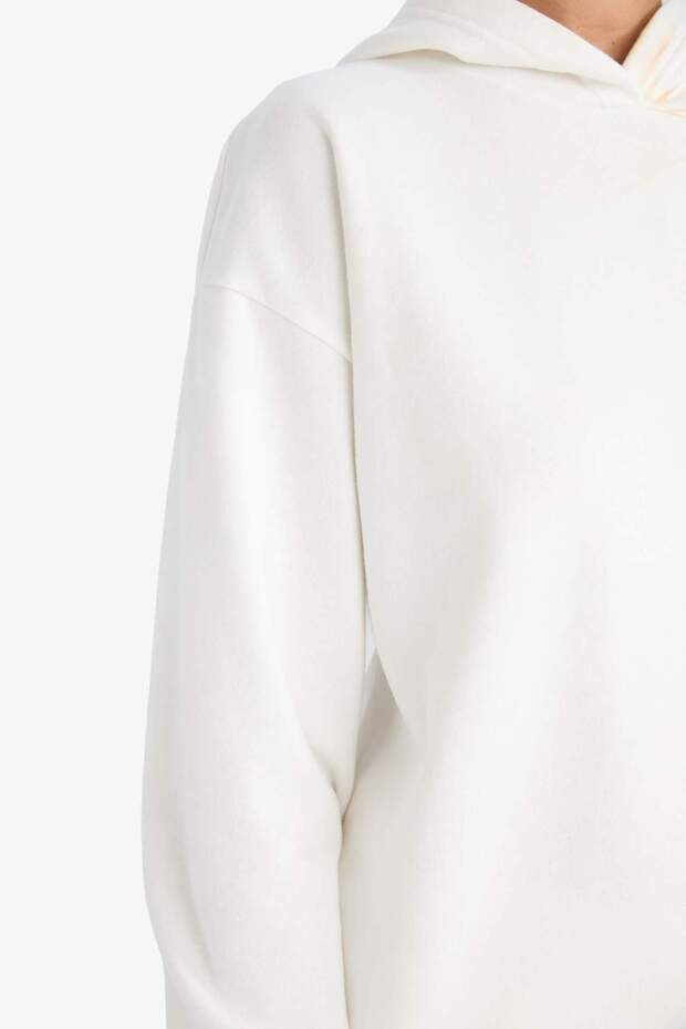 Relax Fit Kapüşonlu Basic Düz Kalın Sweatshirt D9935AX25WN - 5