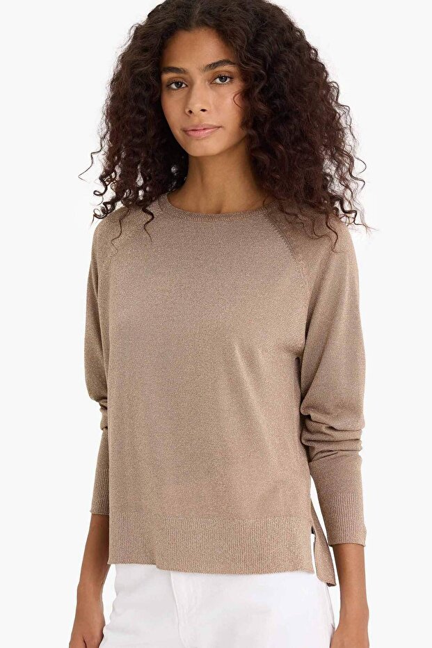 Regular Fit Bisiklet Yaka Triko Kazak C6818AX25WN - 1