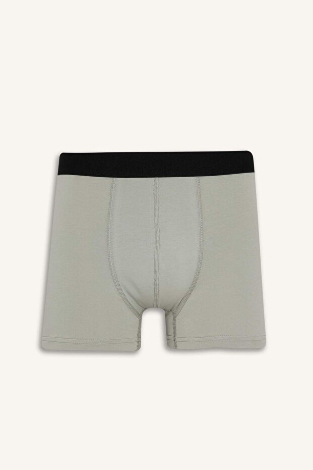 Regular Fit 3'lü Boxer C9549AX25AU - 6