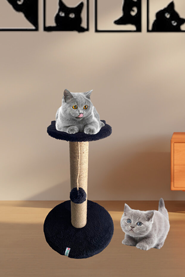 عمود خدش للقطط باللون الأسود - 1