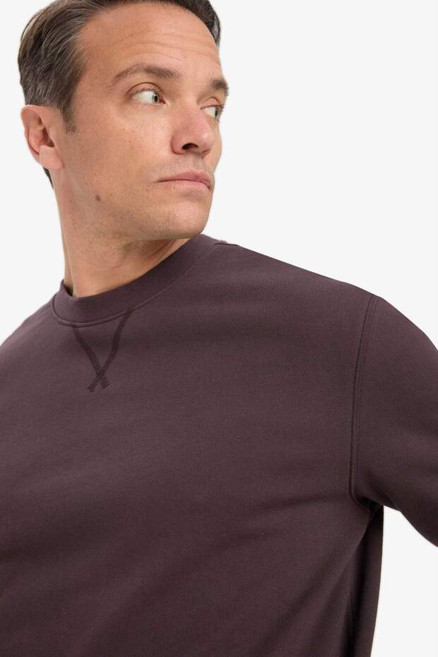 %100 Pamuk Basic Sweatshirt E8339AX25AU - 4