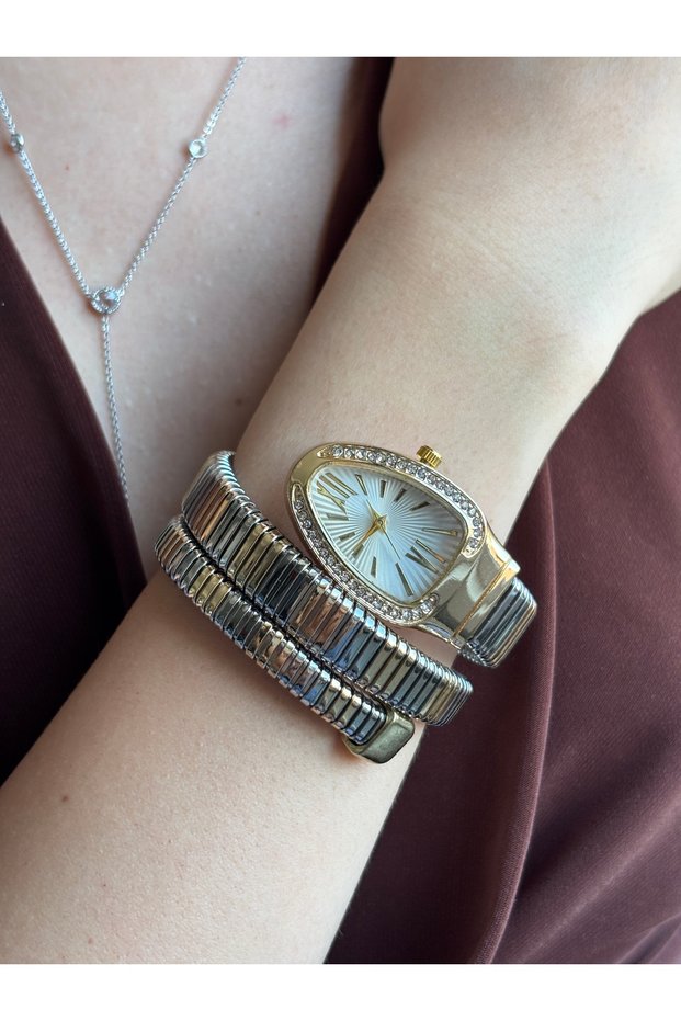 Gold/Silver Snake Model Spiral Women's Watch with Zircon Stones