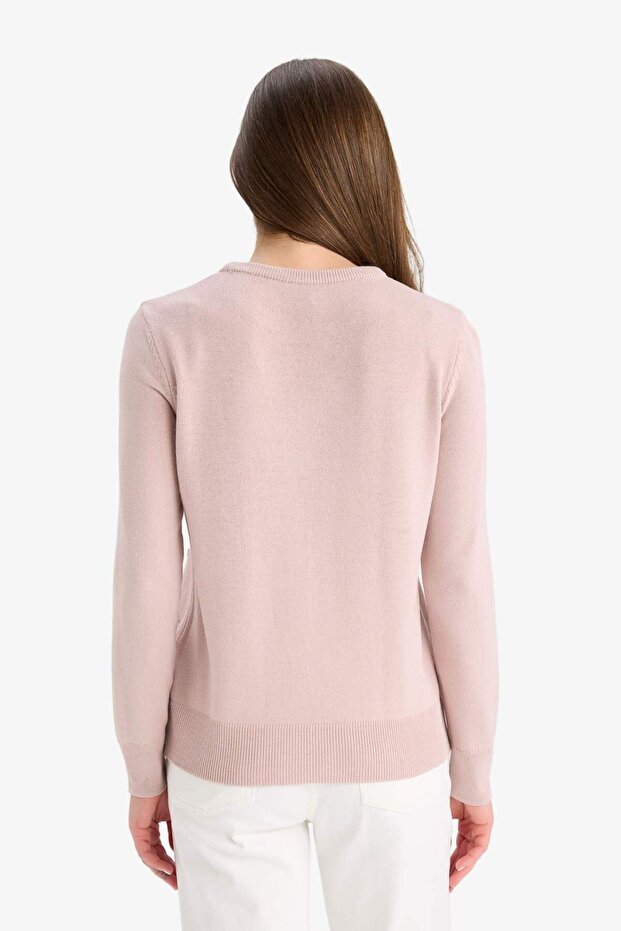 Regular Fit Bisiklet Yaka Triko Kazak F4084AX25WN - 7