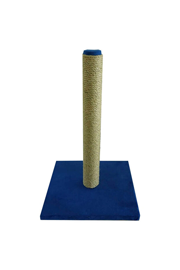 Basic Cat Scratching Blue - 2