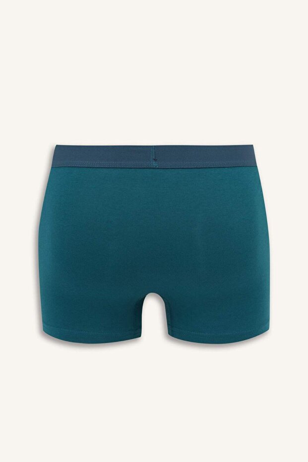 Regular Fit 3lü Boxer E8713AX25AU - 3