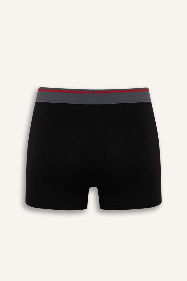 Regular Fit 3lü Boxer E8708AX25HS - 3