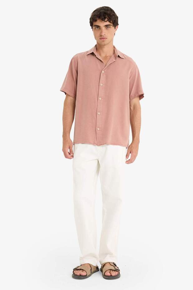 Regular Fit Kısa Kollu Gömlek E2530AX25SM - 2