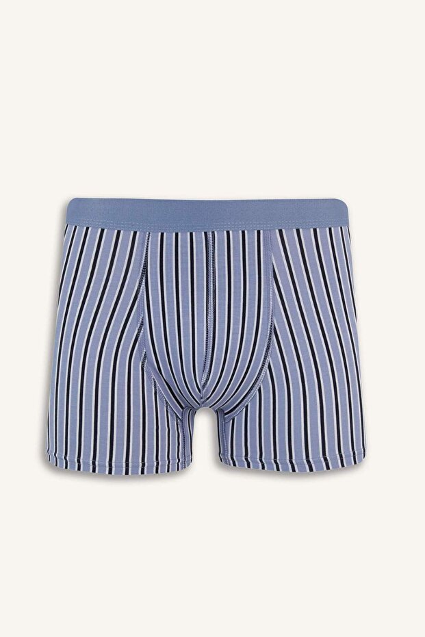 Regular Fit Çizgili 3'lü Boxer E7203AX25SM - 2