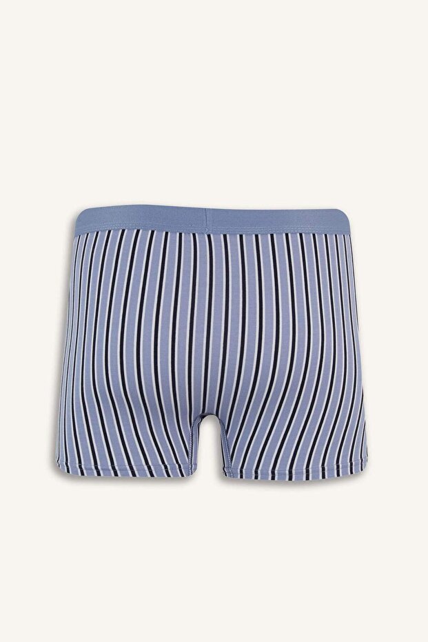 Regular Fit Çizgili 3'lü Boxer E7203AX25SM - 3