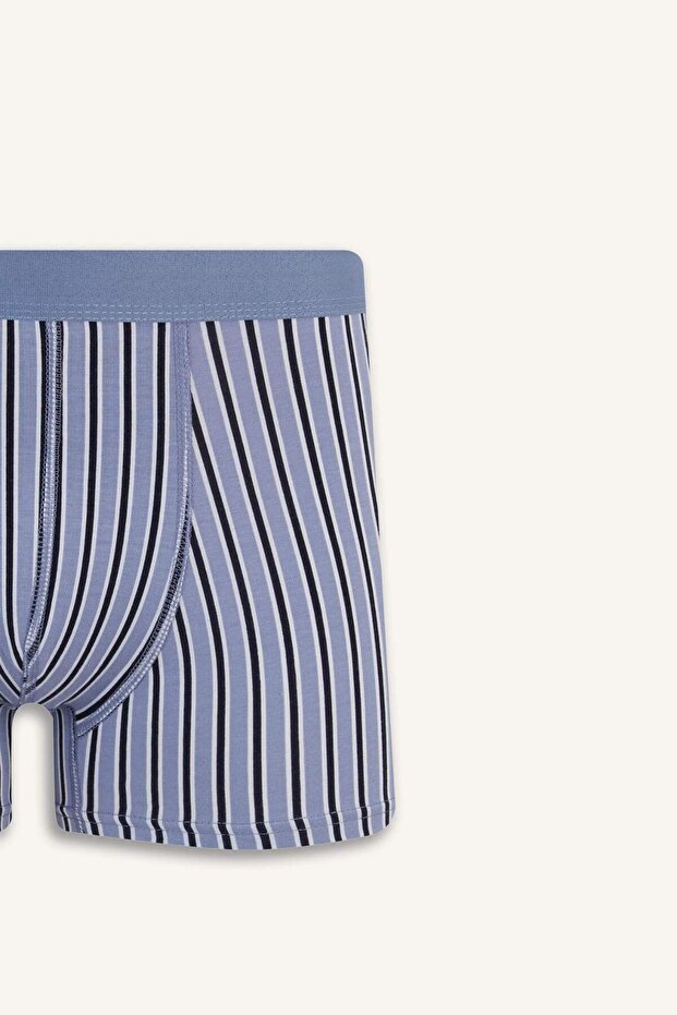 Regular Fit Çizgili 3'lü Boxer E7203AX25SM - 4