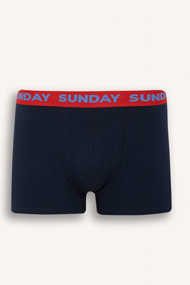 Regular Fit 3lü Boxer D9873AX25SP - 5