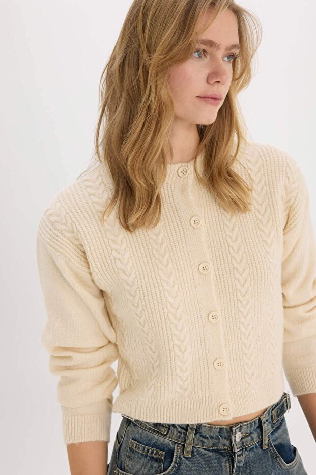 Basic Düz Bisiklet Yaka Triko Hırka E6322AX25SP - 5