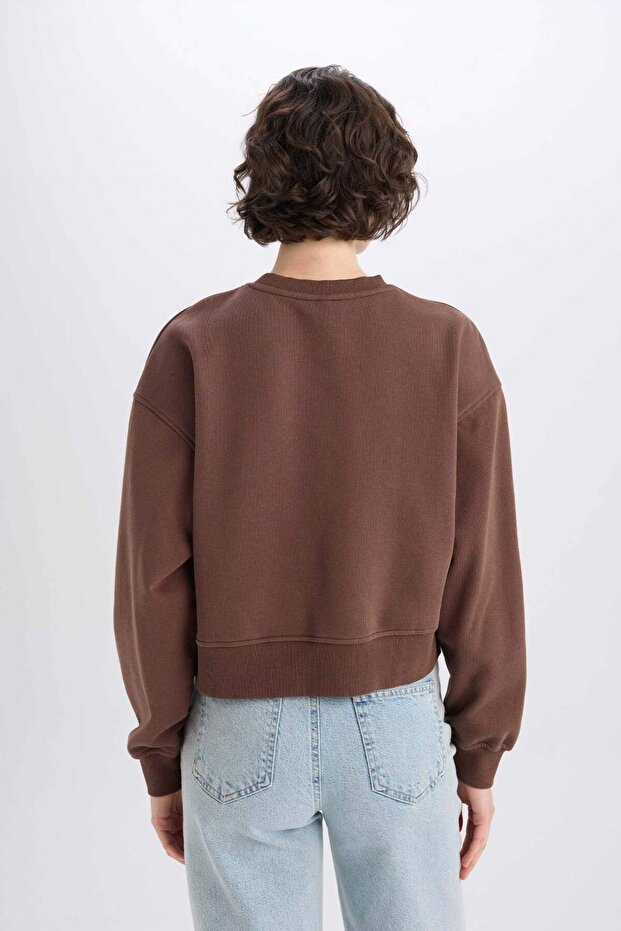 Boxy Fit Bisiklet Yaka Basic Düz Kalın Sweatshirt E4732AX25SP - 6