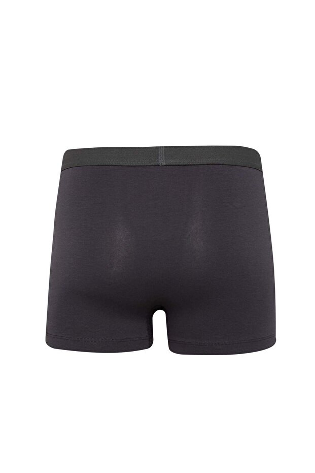 Regular Fit 3'lü Boxer E2914AX25SP - 3