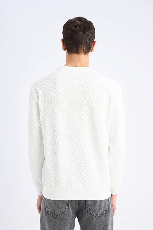 Regular Fit Bisiklet Yaka Dokulu Jakarlı Sweatshirt D7549AX25SP - 6