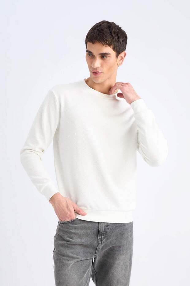 Regular Fit Bisiklet Yaka Dokulu Jakarlı Sweatshirt D7549AX25SP - 3