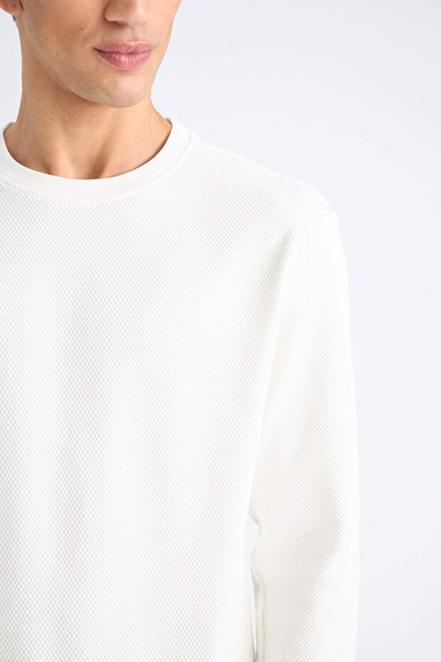 Regular Fit Bisiklet Yaka Dokulu Jakarlı Sweatshirt D7549AX25SP - 5