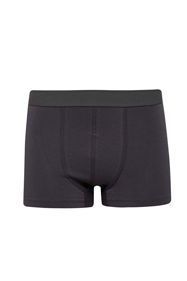 Regular Fit 3'lü Boxer E2914AX25SP - 2